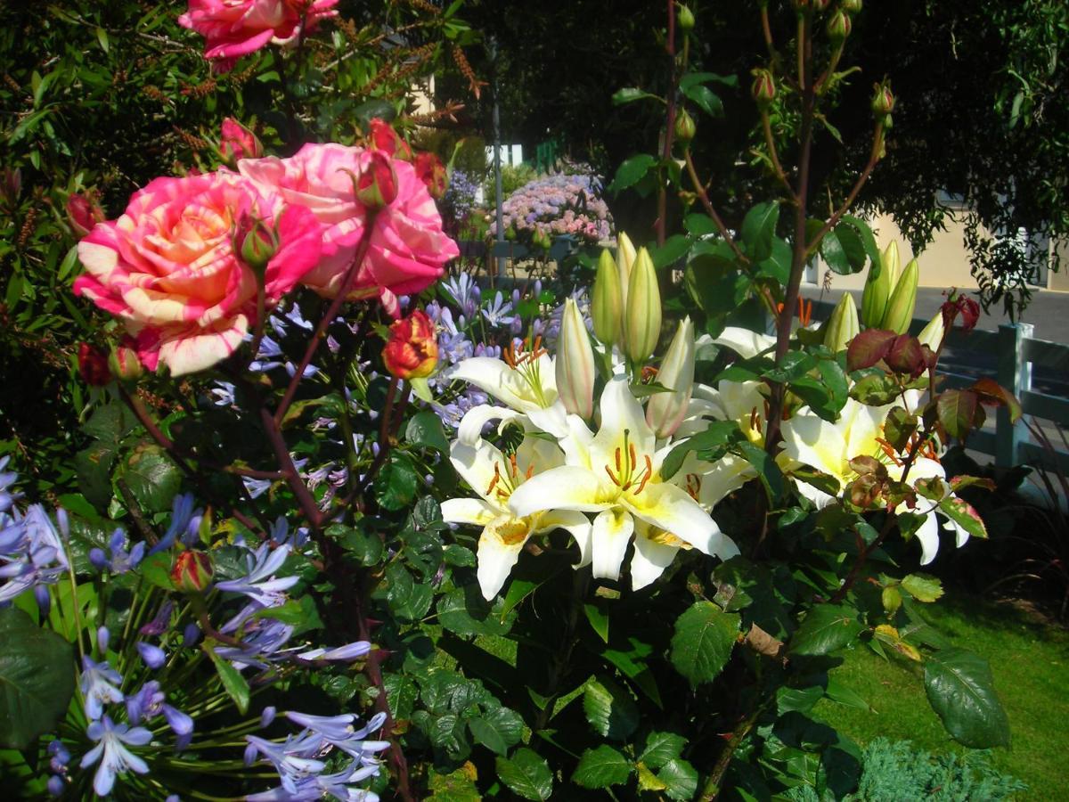 Les Hydrangeas Bed & Breakfast Plougastel-Daoulas Eksteriør bilde